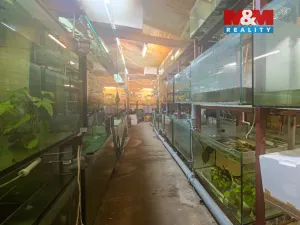 Pronájem obchodního prostoru, Senohraby, Hlavní, 64 m2