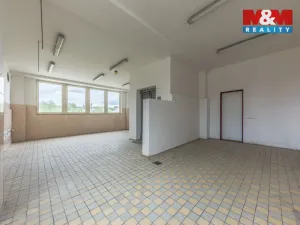 Pronájem skladu, Zdiby - Přemyšlení, U Továrny, 265 m2