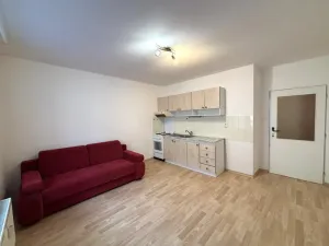 Pronájem bytu 2+kk, České Budějovice, Riegrova, 42 m2
