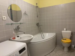 Pronájem bytu 2+kk, České Budějovice, Riegrova, 42 m2