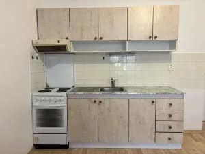 Pronájem bytu 2+kk, České Budějovice, Riegrova, 42 m2