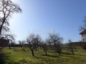 Prodej rodinného domu, Poběžovice, Horní, 146 m2