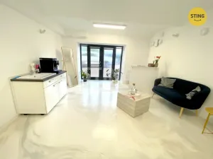 Pronájem obchodního prostoru, Opava - Předměstí, Pekařská, 48 m2