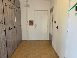 Pronájem bytu 3+1, Planá, 79 m2