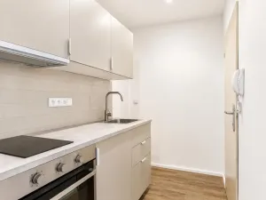 Pronájem bytu 1+kk, Kolín - Kolín II, Funkeho, 21 m2