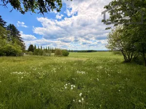 Prodej pozemku pro bydlení, Lestkov - Vysoké Jamné, 988 m2