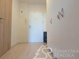 Prodej bytu 1+kk, Stachy, Zadov, 27 m2