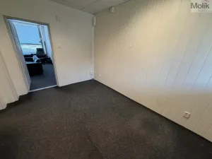 Pronájem kanceláře, Most, Růžová, 167 m2