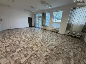 Pronájem kanceláře, Most, Růžová, 84 m2