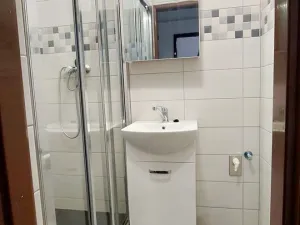 Pronájem bytu 1+1, Cheb, Mánesova, 25 m2