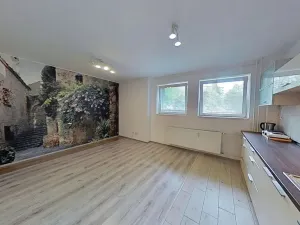 Pronájem bytu 1+kk, Žďár nad Sázavou, Kovářova, 32 m2