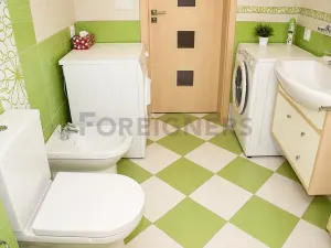 Pronájem bytu 3+1, Brno, Rybářská, 100 m2