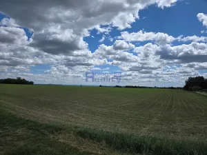 Prodej pozemku, Osice, 12374 m2