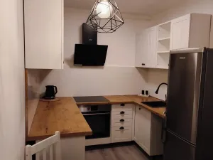 Pronájem bytu 1+1, Litvínov - Hamr, Přátelství, 39 m2