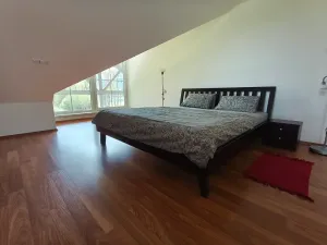 Pronájem bytu 3+kk, Horní Planá, 117 m2
