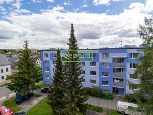 Prodej bytu 1+1, Nový Bor, Palackého, 35 m2
