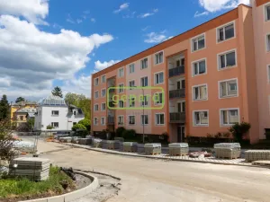 Prodej bytu 1+1, Nový Bor, Palackého, 35 m2