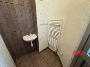 Pronájem komerční nemovitosti, Světlá nad Sázavou, Lánecká, 250 m2