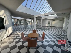 Pronájem komerční nemovitosti, Světlá nad Sázavou, Lánecká, 250 m2
