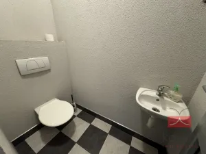 Pronájem komerční nemovitosti, Světlá nad Sázavou, Lánecká, 250 m2