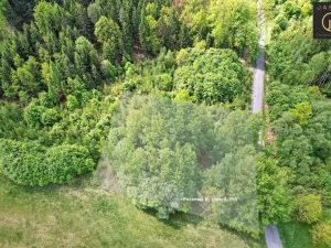 Prodej louky, Velký Šenov, 9592 m2