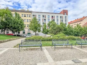 Pronájem bytu 1+kk, Praha - Žižkov, Havlíčkovo náměstí, 29 m2