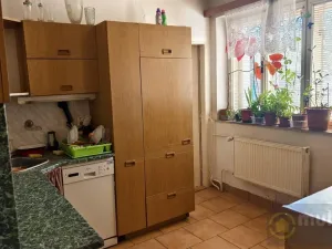 Prodej vícegeneračního domu, Vyškov - Dědice, Revoluční, 285 m2