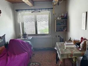 Prodej vícegeneračního domu, Vyškov - Dědice, Revoluční, 285 m2
