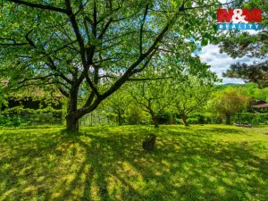 Prodej zahrady, Děčín, Hraniční, 377 m2