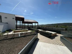 Pronájem bytu 1+kk, Praha, Kolmanova, 40 m2