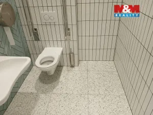 Prodej obchodního prostoru, Opava - Město, Masarykova třída, 80 m2
