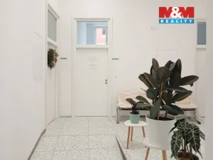 Prodej obchodního prostoru, Opava - Město, Masarykova třída, 80 m2