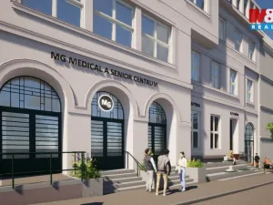Prodej obchodního prostoru, Opava - Město, Masarykova třída, 60 m2