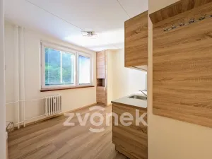 Pronájem bytu 2+1, Vsetín, Dolní Jasenka, 43 m2