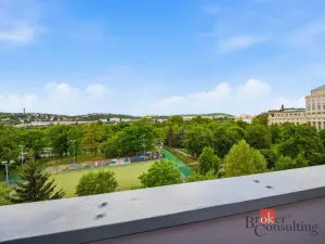 Prodej bytu 1+1, Praha - Podolí, Podolská, 39 m2