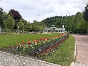 Prodej bytu 2+kk, Mariánské Lázně - Úšovice, Franze Kafky, 50 m2