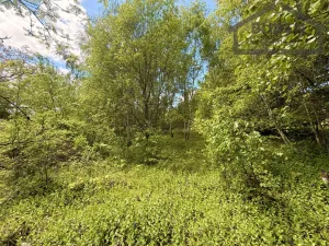 Prodej pozemku pro bydlení, Lestkov - Domaslav, 435 m2