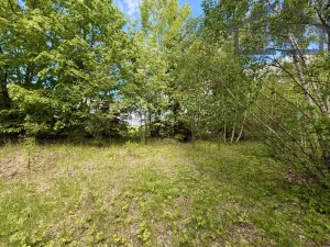 Prodej pozemku pro bydlení, Lestkov - Domaslav, 435 m2