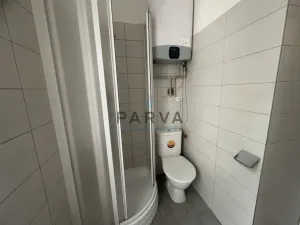 Pronájem bytu 2+kk, Plzeň - Východní Předměstí, Sladkovského, 49 m2