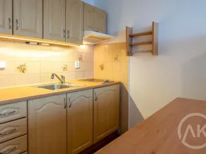 Pronájem bytu 1+kk, Ostrava - Výškovice, Výškovická, 28 m2