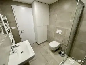 Pronájem bytu 1+kk, Brno, Vinařská, 34 m2