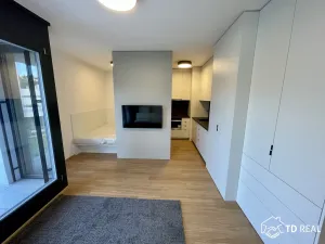 Pronájem bytu 1+kk, Brno, Vinařská, 34 m2