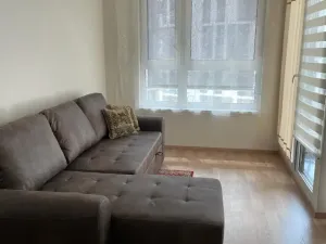 Pronájem bytu 1+kk, Praha - Žižkov, Olgy Havlové, 37 m2