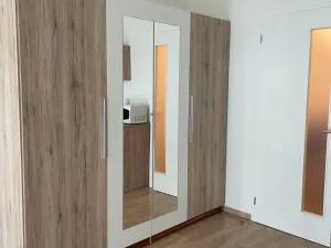 Pronájem bytu 1+kk, Praha - Žižkov, Olgy Havlové, 37 m2
