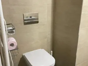 Pronájem bytu 1+kk, Praha - Žižkov, Olgy Havlové, 37 m2