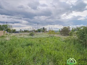 Prodej pozemku pro bydlení, Javorník, Bernartická, 748 m2