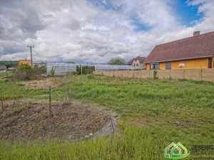 Prodej pozemku pro bydlení, Javorník, Bernartická, 748 m2