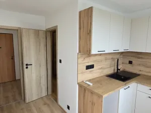 Prodej bytu 1+1, Světlík, 38 m2