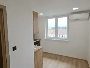Prodej bytu 1+1, Světlík, 38 m2