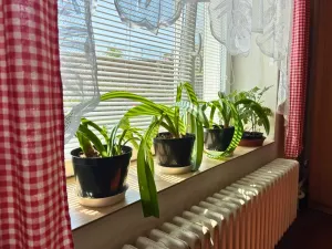 Prodej rodinného domu, Hrdlív, 79 m2